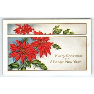 Vintage Christmas Poinsettia Postcard Whitnery Made Worcester Mass